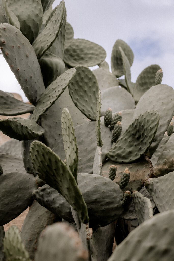 wedding proposal Heiratsantrag Verlobung engaged engagement Heiraten Verlobungsring