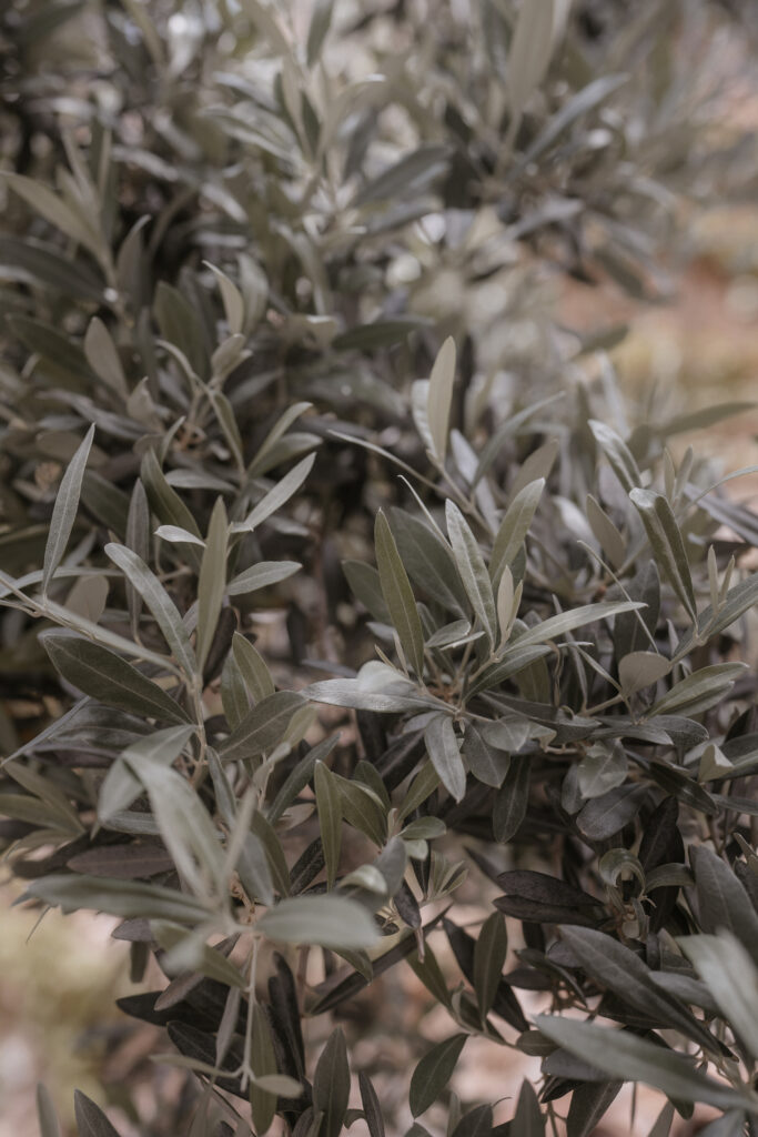 wedding proposal Heiratsantrag Verlobung engaged engagement Heiraten Verlobungsring