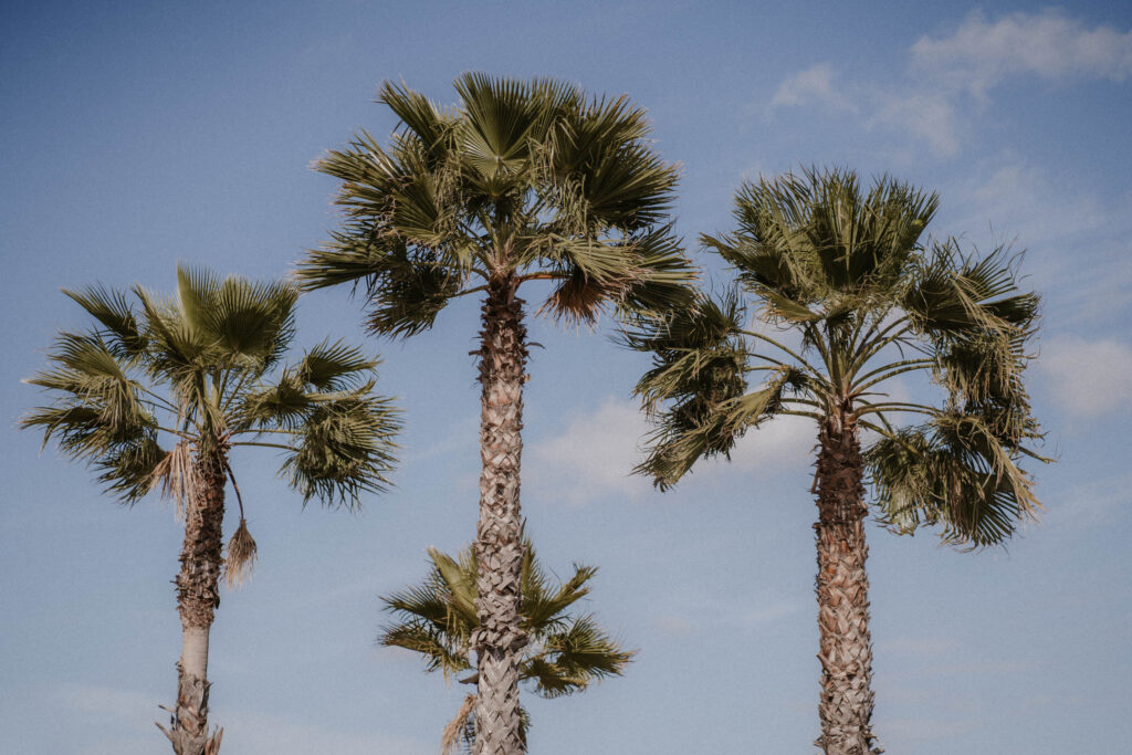 Finca Ses Voltes Finca Hochzeit