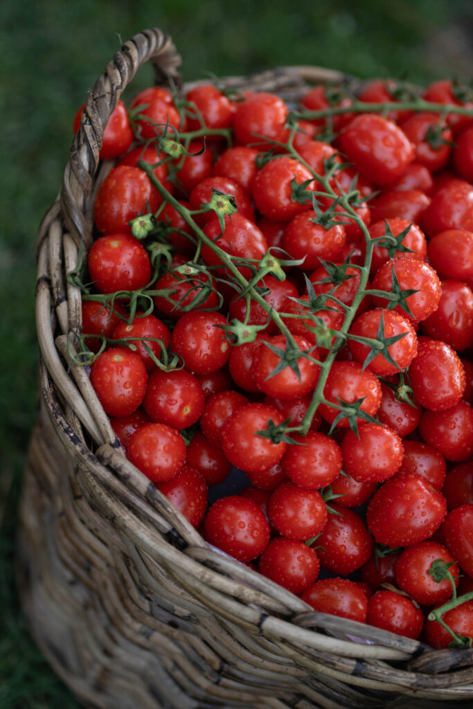 pizza party welcome event Toskana Hochzeit