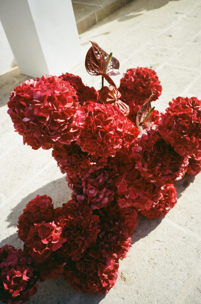 Masseria Borgo Ritella Puglia Wedding Venue